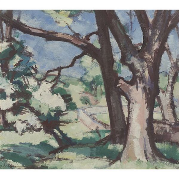 Tree Study Cassis Oil Painting by Samuel John Peploe