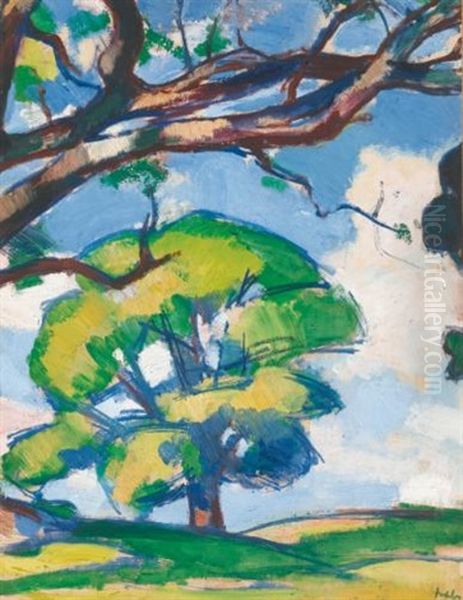 Trees, Douglas Hall Oil Painting by Samuel John Peploe