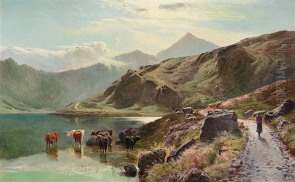 Cattle Watering Near Snowdonia Oil Painting by Sidney Richard Percy