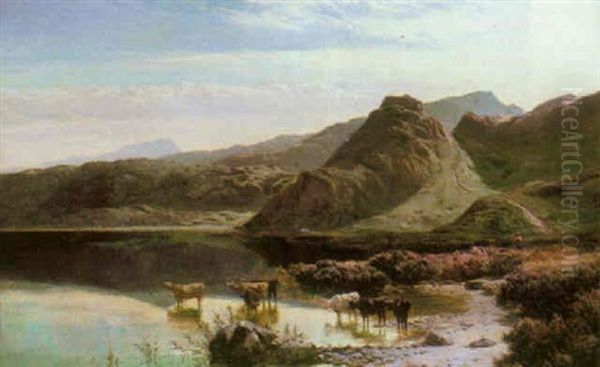 Cattle Watering In A Mountainous River Landscape, North Wales Oil Painting by Sidney Richard Percy