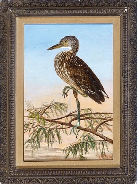 Night Heron Oil Painting by Achille Perelli