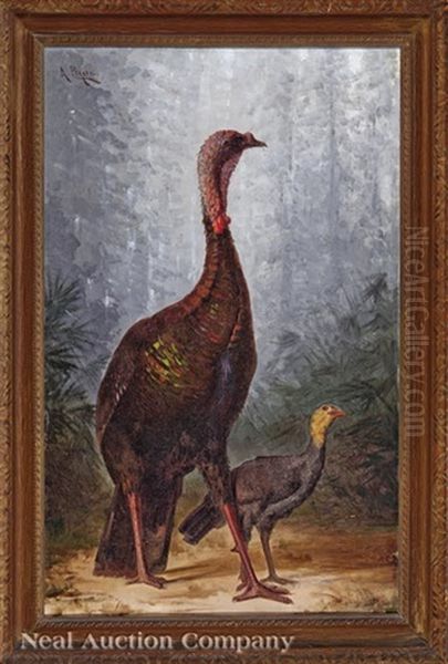 Louisiana Eastern Wild Turkeys (tom And Jake) Oil Painting by Achille Peretti