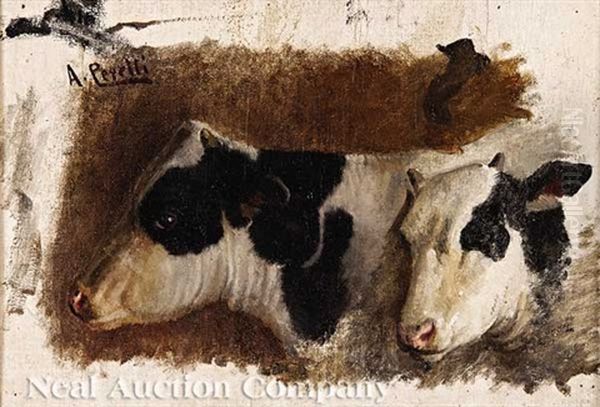 Study Of Two Cows Oil Painting by Achille Peretti