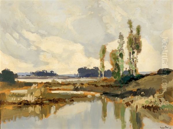 Etangs De Sologne Oil Painting by Lucien Peri