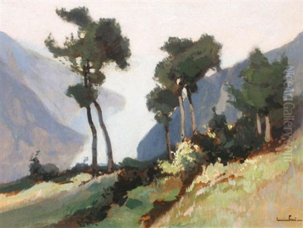 Les Pins Devant Les Calanques Oil Painting by Lucien Peri