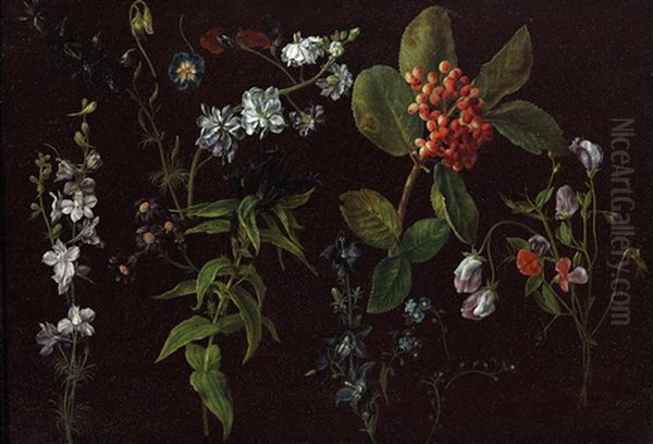 Plant Studies Oil Painting by Alexis Nicolas Perignon the Elder