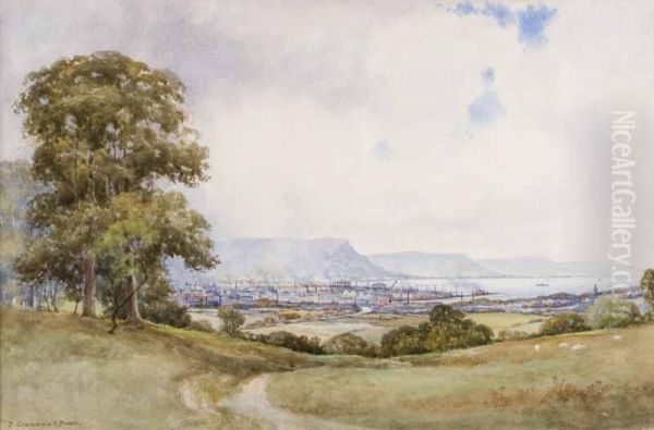 Belfast From Castlereagh Hills Oil Painting by Robert Creswell Boak