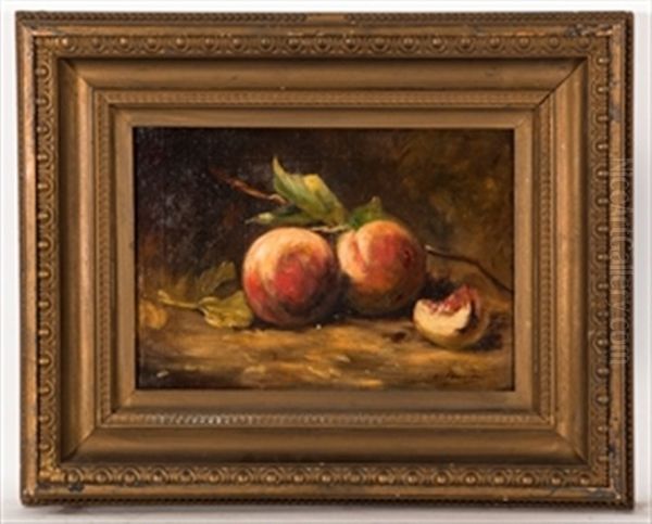 Still Life Of Peaches Oil Painting by Louise Ellen Perman