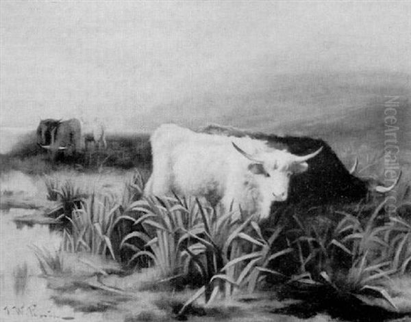 Highland Cattle Grazing Oil Painting by John W. Perrin