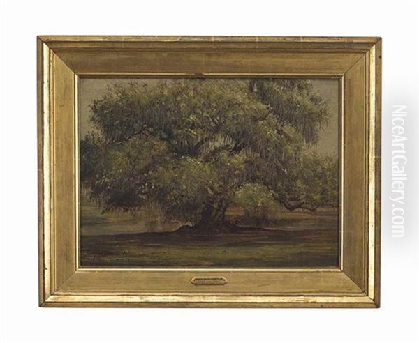 Live Oak, New Orleans Oil Painting by Enoch Wood Perry