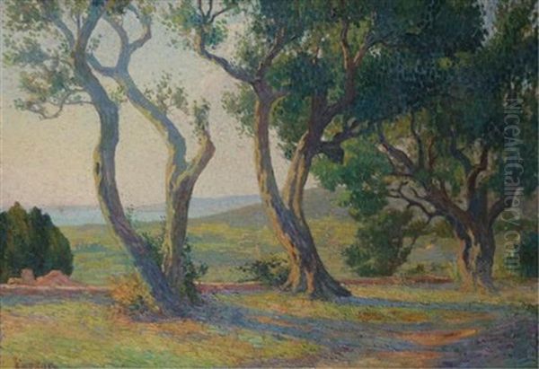 Olive Trees In The Morning Oil Painting by Henri Person