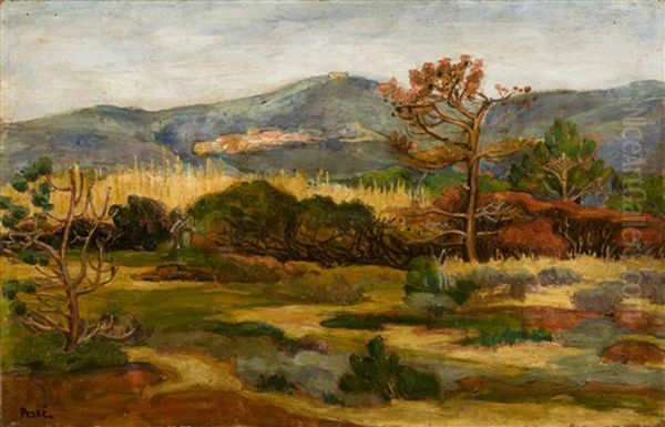 Surroundings Of Bormes Les Mimosas Oil Painting by Jean Peske