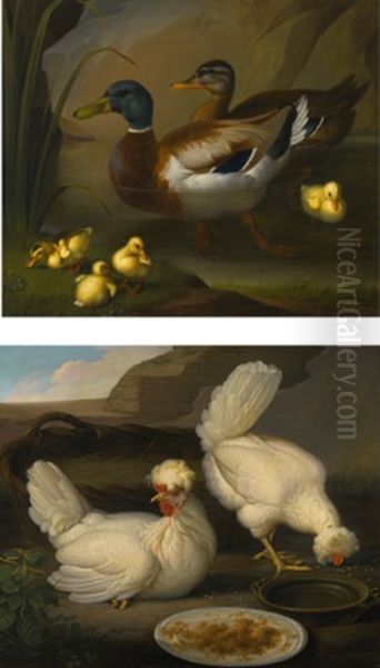 A Pair Of Ducks With Four Ducklings; Two Chickens Oil Painting by Wenceslaus (Wenzel) Peter