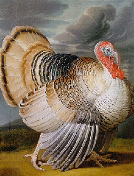 A Turkey In A Landscape Oil Painting by Wenceslaus (Wenzel) Peter