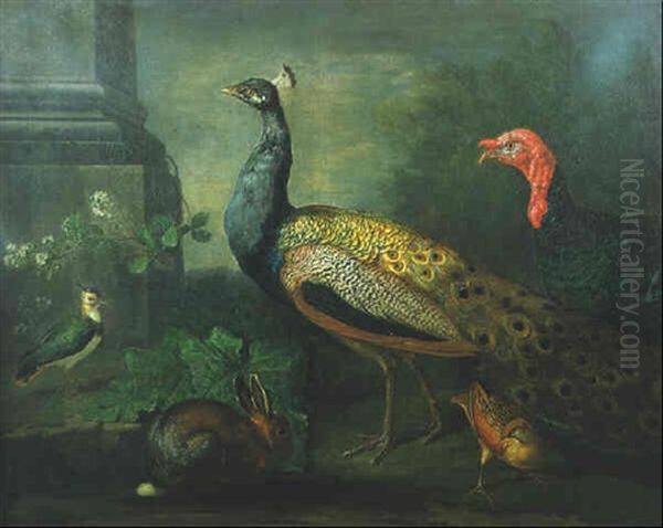 A Peacock, A Turkey, Other Birds And A Rabbit By A Classical Column Oil Painting by Wenceslaus (Wenzel) Peter