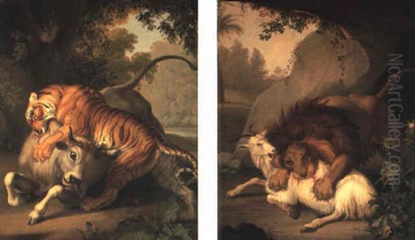 Tiger Attacking A Bull Oil Painting by Wenceslaus (Wenzel) Peter