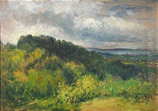 Sommerliche Landschaft (am Bodensee?) Oil Painting by Anna Peters