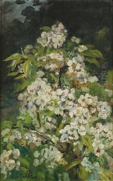 Kirschblutenzweig Oil Painting by Anna Peters