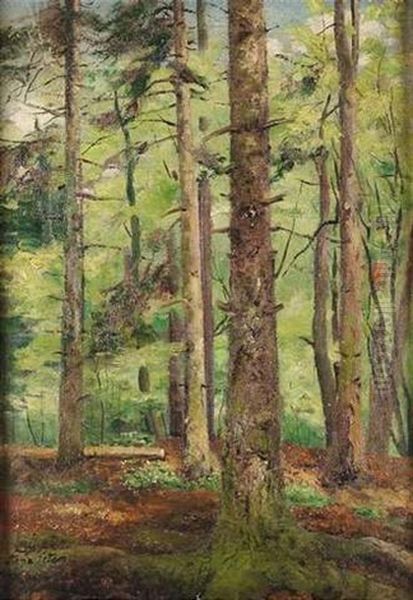 Wald Im Fruhling Oil Painting by Anna Peters