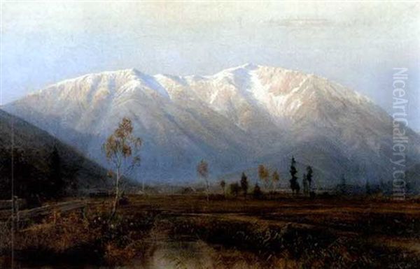 Landschaft Bei Puchberg Am Schneeberg Oil Painting by Otto Seraphim Peters