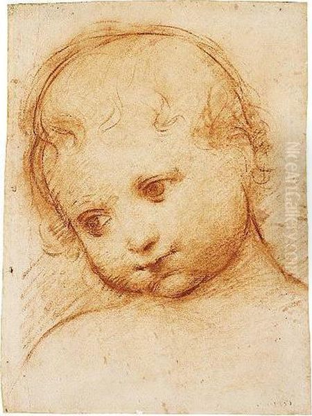 Study Of The Head Of A Child Oil Painting by Boccaccio Boccaccino