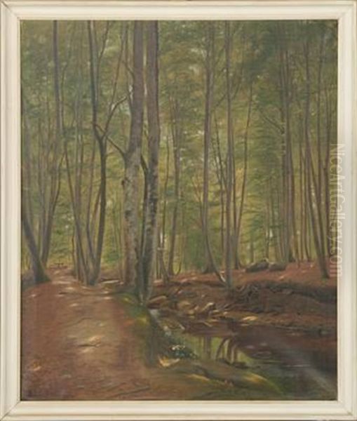 Forest Scenery From Marselisborg Oil Painting by Julius Petersen