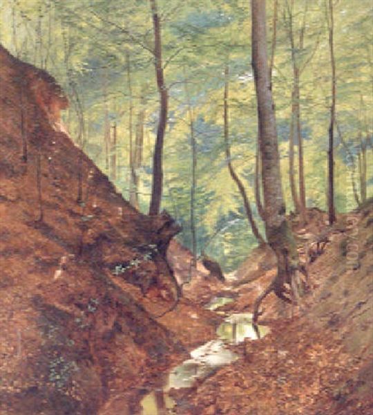 A Stream In A Sunlit Wood Oil Painting by Julius Petersen