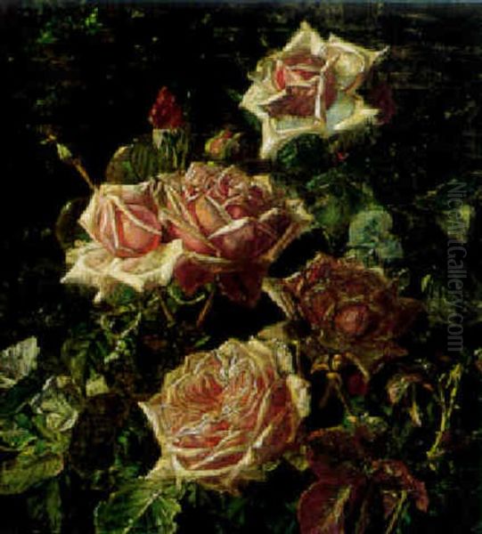 Dugvade Blomstrende Rosre Oil Painting by Sofus Petersen