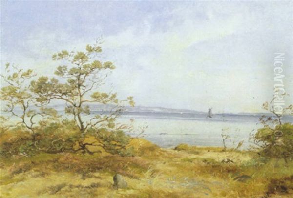 Strandparti Med Lave Fyrretraeer Oil Painting by Vilhelm Peter Carl Petersen