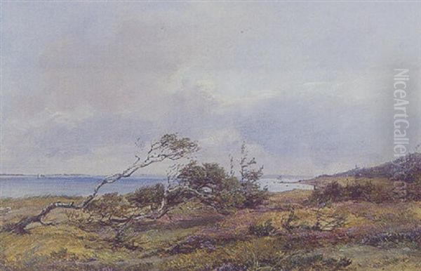 Parti Fra Hornbaek Plantage Oil Painting by Vilhelm Peter Carl Petersen