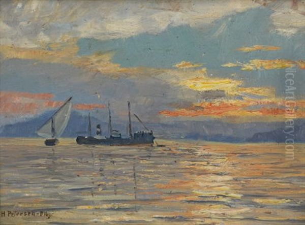 Norwegische Seelandschaft Oil Painting by Heinrich Petersen-Flensburg