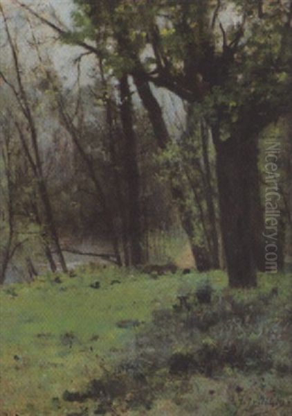 Sommerliche Waldlandschaft Oil Painting by Jules Petillion