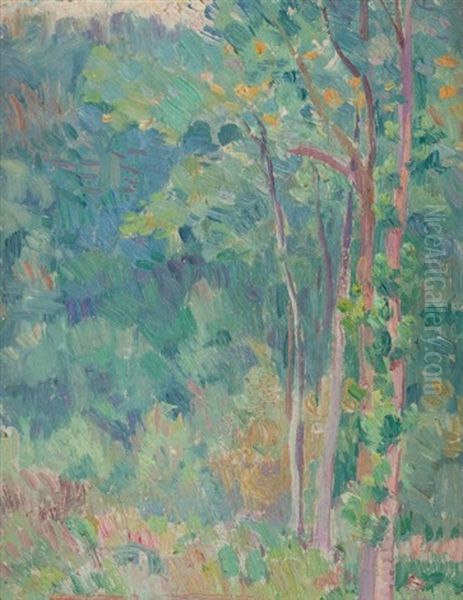 Bouleaux En Sous-bois Oil Painting by Hippolyte Petitjean