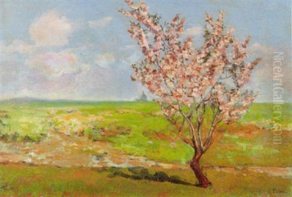 Campagna Con Roma Sullo Sfondo Oil Painting by Luigi Petrassi