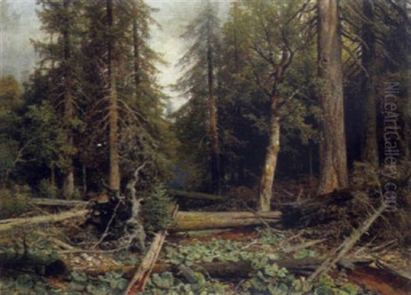 Urwald Am Kubani In Bohmen Oil Painting by Ladislaus Eugen Petrovits