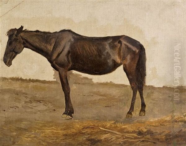 Pferd (study) Oil Painting by August Xaver Carl von Pettenkofen