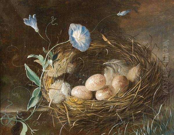 Stilleben Mit Vogelnest Oil Painting by Franz Xaver Petter