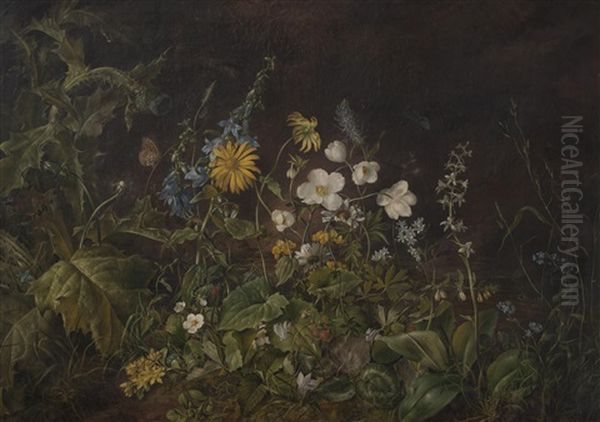 Alpine Flowers Oil Painting by Franz Xaver Petter