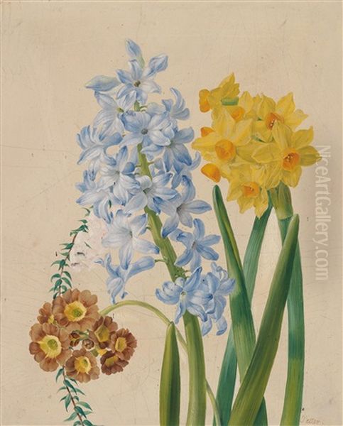 Narzissen, Hyazinthen Und Schlusselblume Oil Painting by Franz Xaver Petter