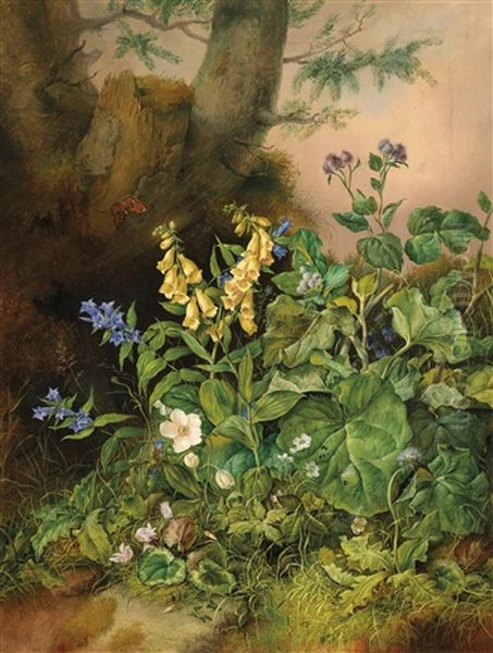 Waldblumen (fingerhut, Schwalbenwurz-enzian, Alpenveilchen, Heckenrose Und Klette) Oil Painting by Franz Xaver Petter