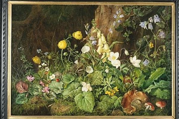 Wildflowers by Franz Xaver Petter