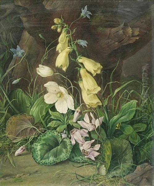 Wildflowers At The Base Of A Tree Oil Painting by Franz Xaver Petter