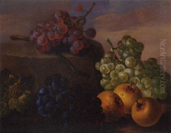 Grapes And Apples On A Rocky Shelf Oil Painting by Franz Xaver Petter