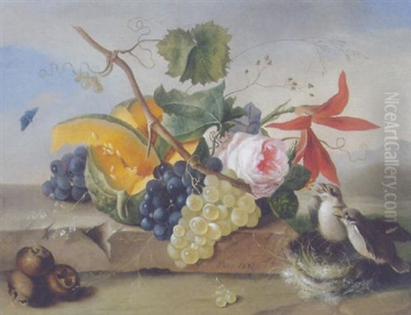 Blumen Und Fruchtestilleben Mit Vogelnest Oil Painting by Franz Xaver Petter