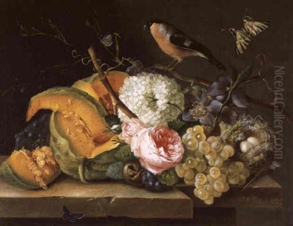 Blumen- Und Fruchtestilleben Mit Dompfaff Oil Painting by Franz Xaver Petter