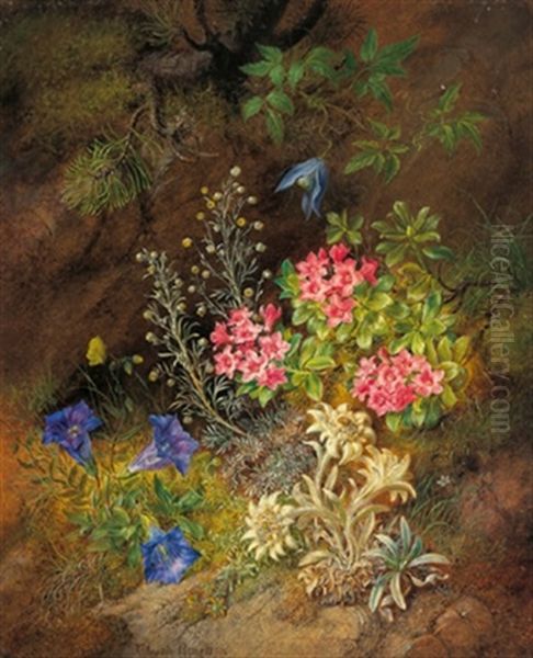 Stilleben Mit Alpenblumen - Enzian, Edelweis Und Almrausch Oil Painting by Theodor Petter