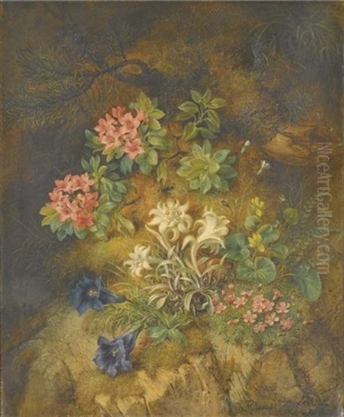 Edelweiss Et Autres Fleurs De Montagne Oil Painting by Theodor Petter