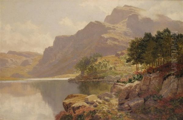 Midday Llyn Cwm Bychan, North Wales Oil Painting by Edwin Alfred Pettitt