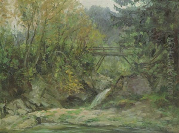 Felspartie Mit Wasserfall Und Brucke Oil Painting by Rudolf Petuel