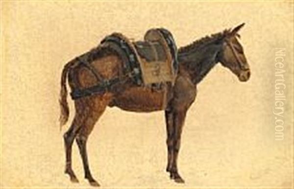 A Saddled Donkey, Seen From The Side by Frederik (Fritz) Petzholdt